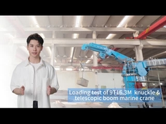 कुशल कार्गो हैंडलिंग के लिए 9T16.3M शिप बोर्ड क्रेन